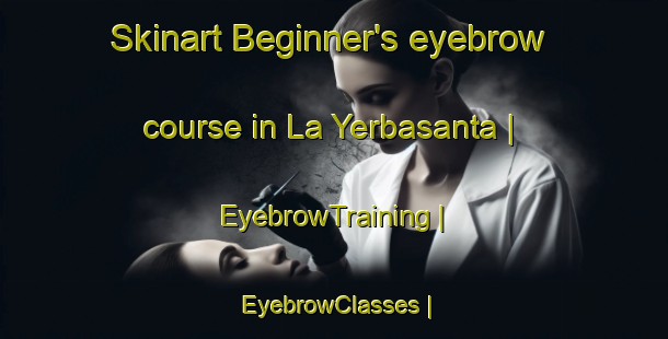 Skinart Beginner's eyebrow course in La Yerbasanta | EyebrowTraining | EyebrowClasses | SkinartTraining-Mexico